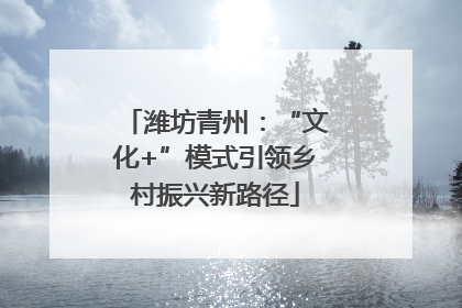 潍坊青州：“文化+”模式引领乡村振兴新路径
