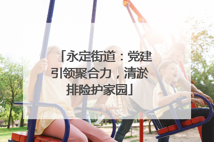 永定街道：党建引领聚合力，清淤排险护家园