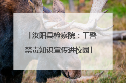 汝阳县检察院：干警禁毒知识宣传进校园