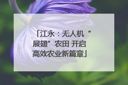 江永：无人机“展翅”农田 开启高效农业新篇章