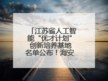 江苏省人工智能“优才计划” 创新培养基地名单公布！海安高级中学入选