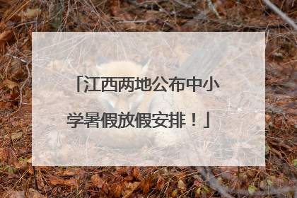 江西两地公布中小学暑假放假安排！