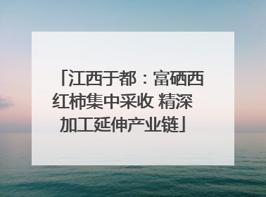 江西于都：富硒西红柿集中采收 精深加工延伸产业链