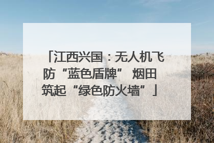 江西兴国：无人机飞防“蓝色盾牌” 烟田筑起“绿色防火墙”