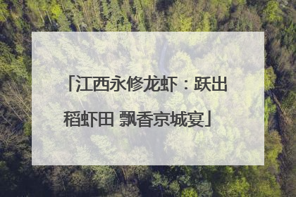 江西永修龙虾：跃出稻虾田 飘香京城宴