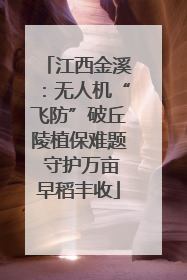 江西金溪：无人机“飞防”破丘陵植保难题 守护万亩早稻丰收