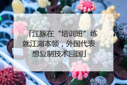 江豚在“培训班”练就江湖本领，外国代表想复制技术回国