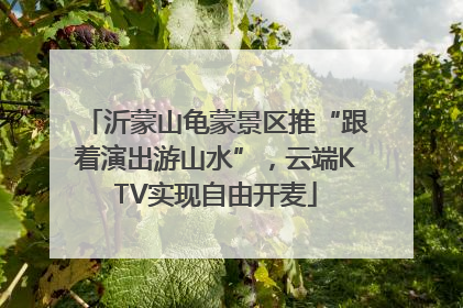 沂蒙山龟蒙景区推“跟着演出游山水”，云端KTV实现自由开麦