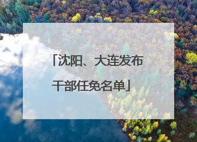 沈阳、大连发布干部任免名单