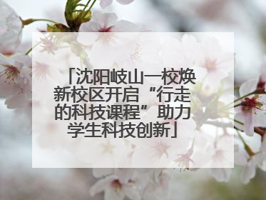 沈阳岐山一校焕新校区开启“行走的科技课程”助力学生科技创新