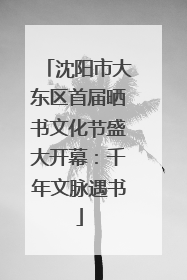沈阳市大东区首届晒书文化节盛大开幕：千年文脉遇书