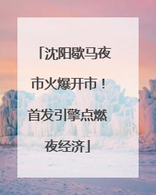 沈阳歇马夜市火爆开市！首发引擎点燃夜经济