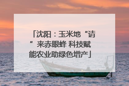 沈阳：玉米地“请”来赤眼蜂 科技赋能农业助绿色增产