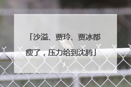 沙溢、贾玲、贾冰都瘦了，压力给到沈腾