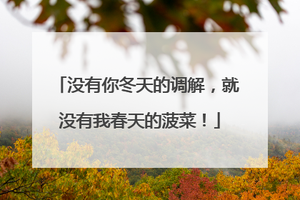 没有你冬天的调解，就没有我春天的菠菜！