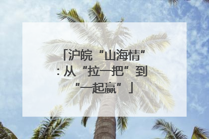 沪皖“山海情”：从“拉一把”到“一起赢”