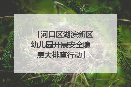 河口区湖滨新区幼儿园开展安全隐患大排查行动