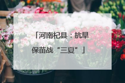 河南杞县：抗旱保苗战“三夏”