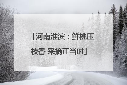 河南淮滨：鲜桃压枝香 采摘正当时