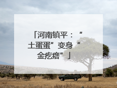 河南镇平：“土蛋蛋”变身“金疙瘩”