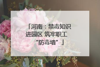 河南：禁毒知识进园区 筑牢职工“防毒墙”