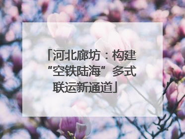 河北廊坊：构建“空铁陆海”多式联运新通道