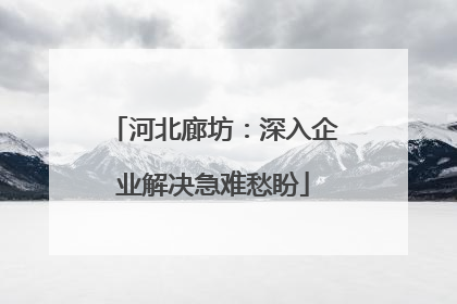 河北廊坊：深入企业解决急难愁盼