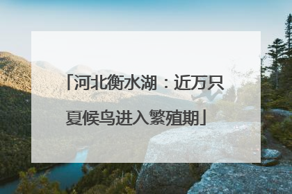 河北衡水湖：近万只夏候鸟进入繁殖期