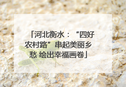 河北衡水：“四好农村路”串起美丽乡愁 绘出幸福画卷