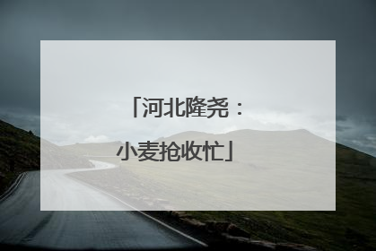 河北隆尧：小麦抢收忙