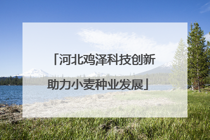 河北鸡泽科技创新助力小麦种业发展