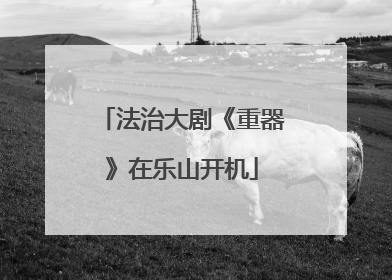 法治大剧《重器》在乐山开机