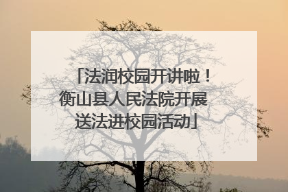 法润校园开讲啦！衡山县人民法院开展 送法进校园活动
