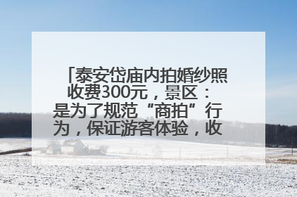 泰安岱庙内拍婚纱照收费300元，景区：是为了规范“商拍”行为，保证游客体验，收取费用全部上交国库