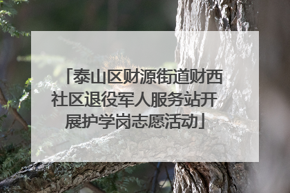 泰山区财源街道财西社区退役军人服务站开展护学岗志愿活动