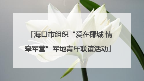海口市组织“爱在椰城 情牵军营”军地青年联谊活动