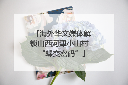 海外华文媒体解锁山西河津小山村“蝶变密码”