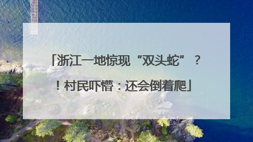 浙江一地惊现“双头蛇”？！村民吓懵：还会倒着爬