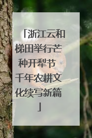 浙江云和梯田举行芒种开犁节 千年农耕文化续写新篇