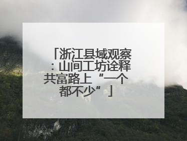 浙江县域观察：山间工坊诠释共富路上“一个都不少”