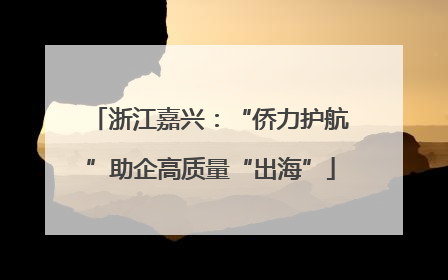 浙江嘉兴：“侨力护航”助企高质量“出海”