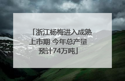 浙江杨梅进入成熟上市期 今年总产量预计74万吨