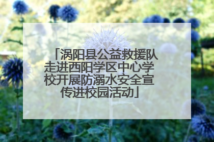 涡阳县公益救援队走进西阳学区中心学校开展防溺水安全宣传进校园活动
