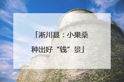 淅川县：小果桑种出好“钱”景