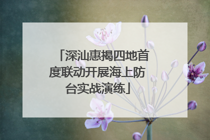 深汕惠揭四地首度联动开展海上防台实战演练