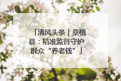 清风头条｜桑植县：精准监督守护群众“养老钱”