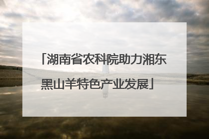 湖南省农科院助力湘东黑山羊特色产业发展