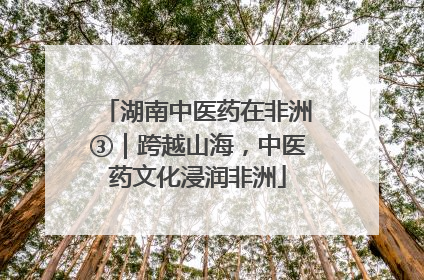 湖南中医药在非洲③｜跨越山海，中医药文化浸润非洲