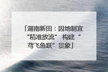 湖南新田：因地制宜“精准放流” 构建“鸢飞鱼跃”景象