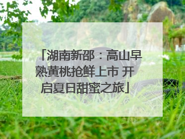 湖南新邵：高山早熟黄桃抢鲜上市 开启夏日甜蜜之旅